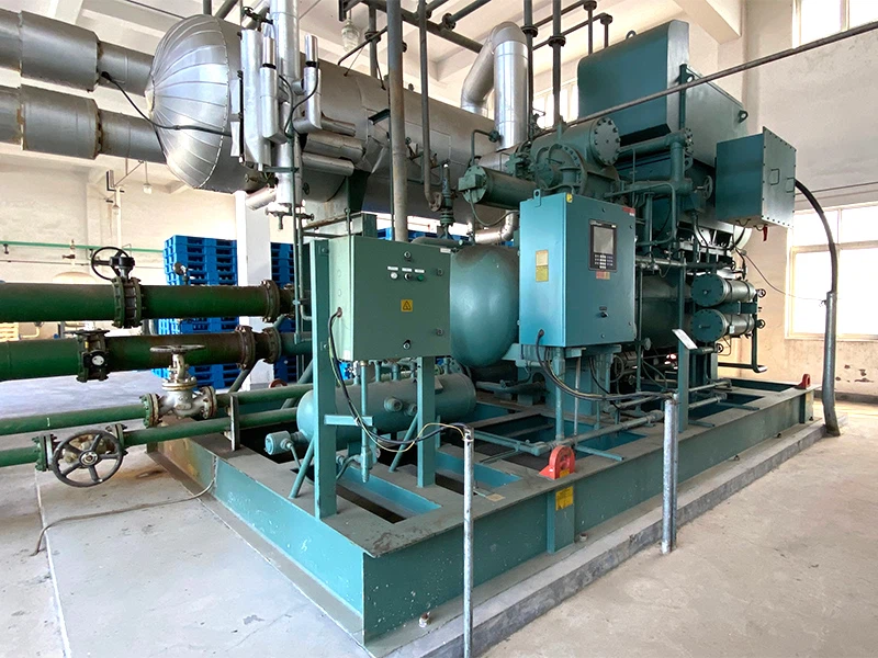 10009IMG0501 10009IMG0501